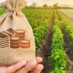 Tips Pinjaman Online untuk Petani
